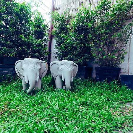 Adventure Siem Reap Lodge Esterno foto